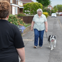 canine walker assessment