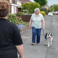 canine walker assessment