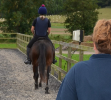 equine ridden assessment